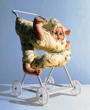 Cover: Der Brasilianische Blick