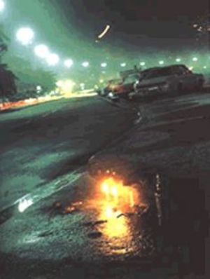 Cover: Dialog mit den Göttern