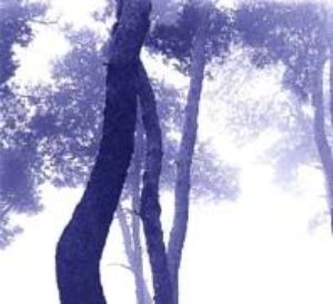 Cover: Im Jahr des Tigers: Korea