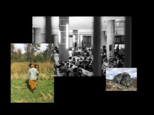 Cover: anthropocene-curriculum-org