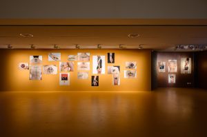 Roee Rosen,&nbsp;The Gaza War Tattoos (2024&ndash;2025), Fotoserie, Ma&szlig;e variabel
