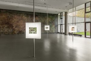 Das Anthropozän-Projekt | Ein Bericht. Adam Avikainen: CSI Department of Natural Resources, 17.10.-08.12.2014, Ausstellungsansicht