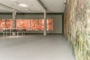 Das Anthropozän-Projekt | Ein Bericht. Adam Avikainen: CSI Department of Natural Resources, 17.10.-08.12.2014, Ausstellungsansicht