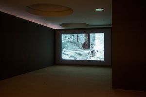 Former West. Dokumente, Konstellationen, Ausblicke