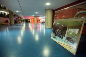 Former West. Dokumente, Konstellationen, Ausblicke