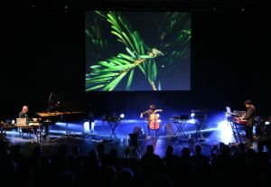 Lifelines #4: Roedelius. Hans-Joachim Roedelius, Lukas Lauermann und Tim Story