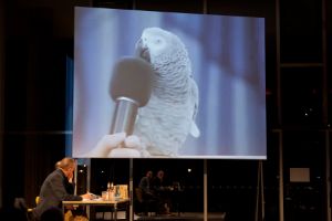 Sprache und Wissen