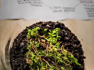 The Current | Installation. Installation, 26.10.–30.11.2020