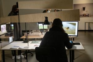 The Current | Installation. Installation, 26.10.–30.11.2020