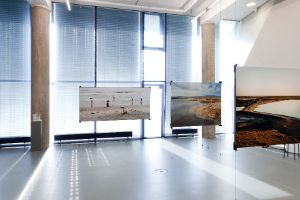 The Whole Earth. Kalifornien und das Verschwinden des Außen