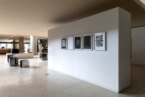 The Whole Earth. Kalifornien und das Verschwinden des Außen. Ausstellungsansicht