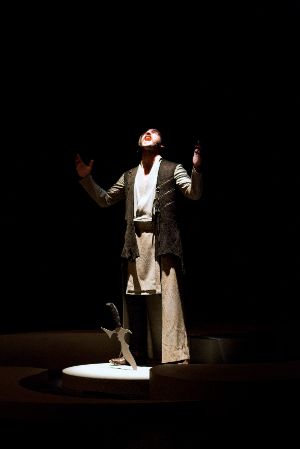 Unmenschliche Musik. Compositions by Machines, by Animals and by Accident