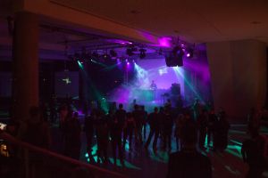 Worldtronics 2013. Electronica Surprise